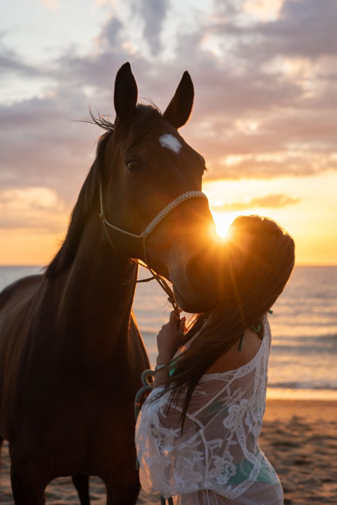 Séance photo équine sur la plage des Landes au coucher du soleil; Sandrine Afonso photographe professionnel