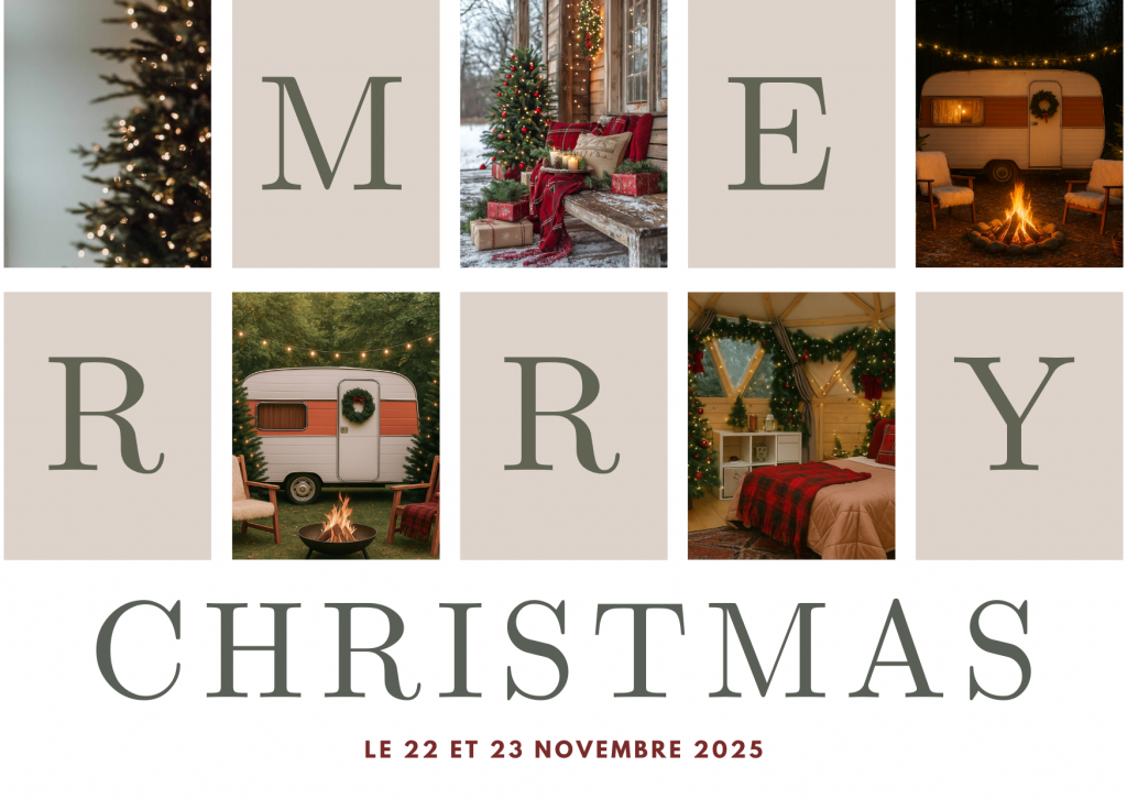 séance photo Noel en famille, en couple, animaux, a transe, Pau, lourdes, ger,