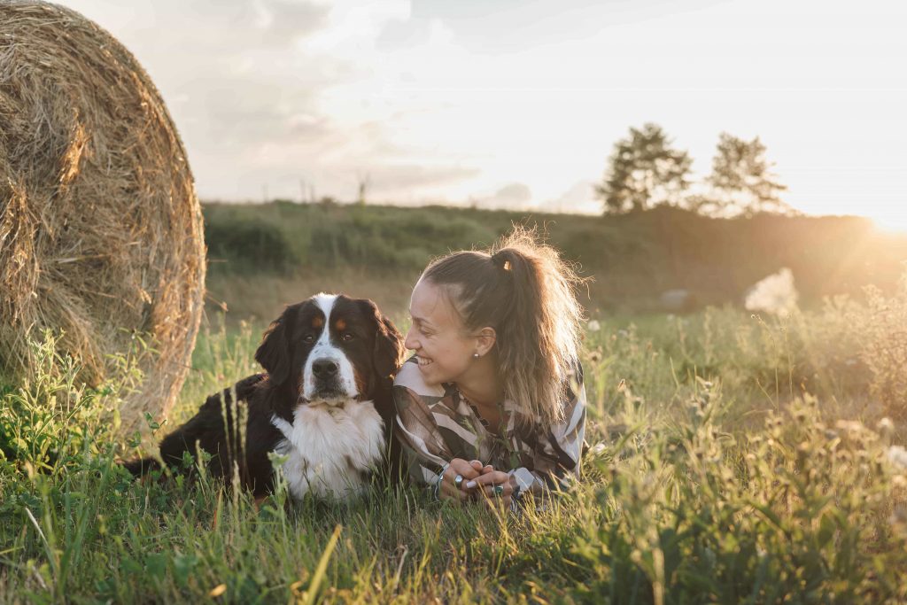 Sandrine AFONSO photographe animalier tarbes chien