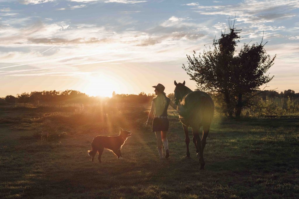 photographe equin tarbes hautes pyrénées